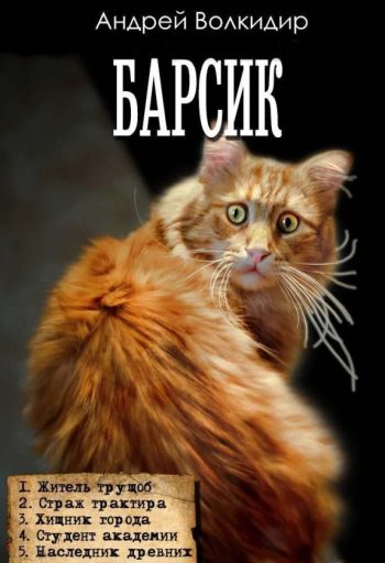 Цикл «Барсик»